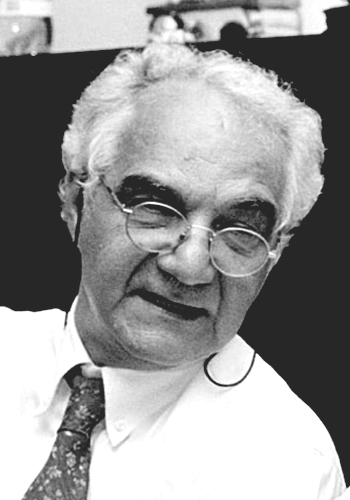 Pier Luigi Luisi